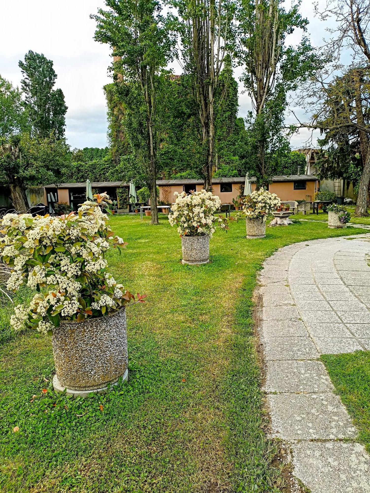Villa Olanda Mira Dış mekan fotoğraf